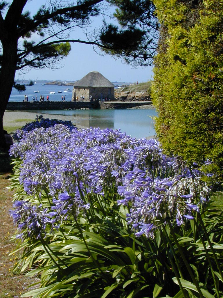 L'ïle de vbréhat - agence grain de sell paimpol